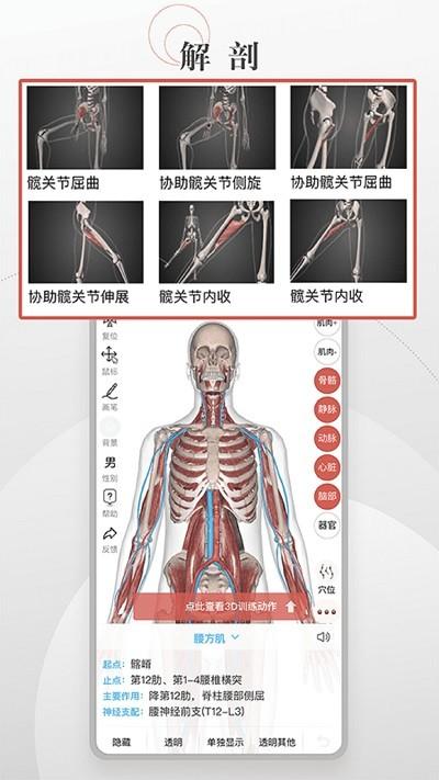 第三人体软件下载,第三人体,运动app,健康app
